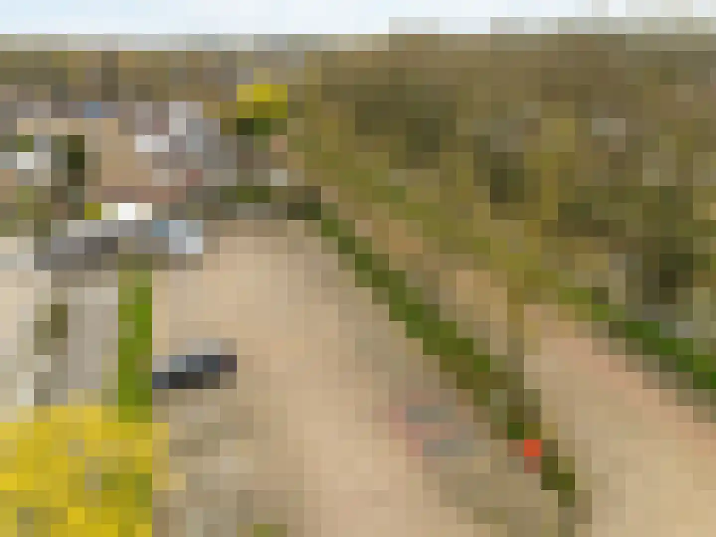 Reigerskamp 582 Maarssen thumbnail 22