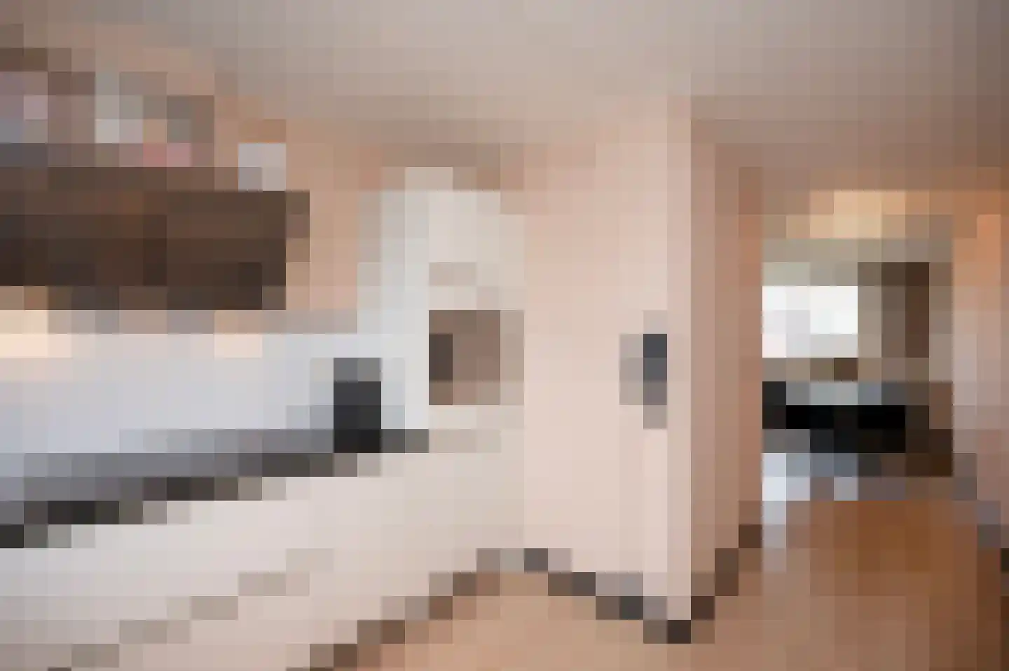 Reigerskamp 598 Maarssen thumbnail 23