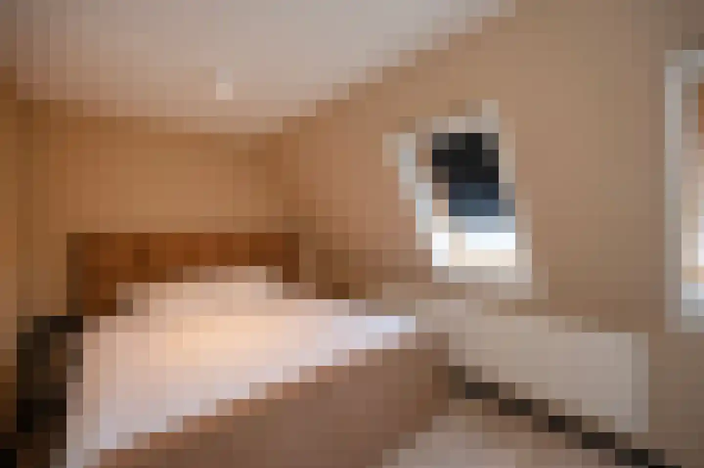Reigerskamp 598 Maarssen thumbnail 34