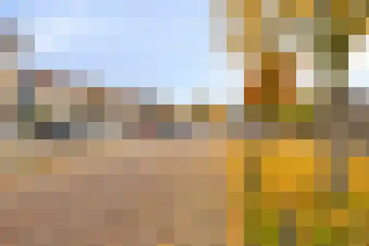 Reigerskamp 609 Maarssen thumbnail 10