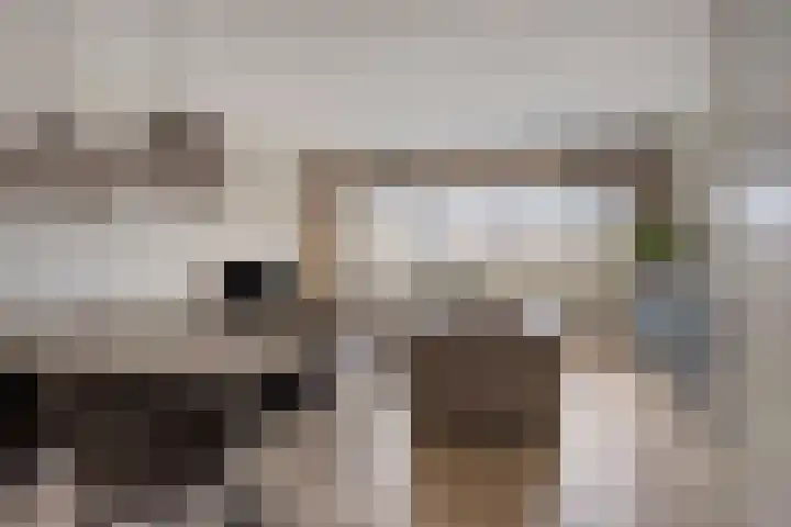 Reigerskamp 609 Maarssen thumbnail 12