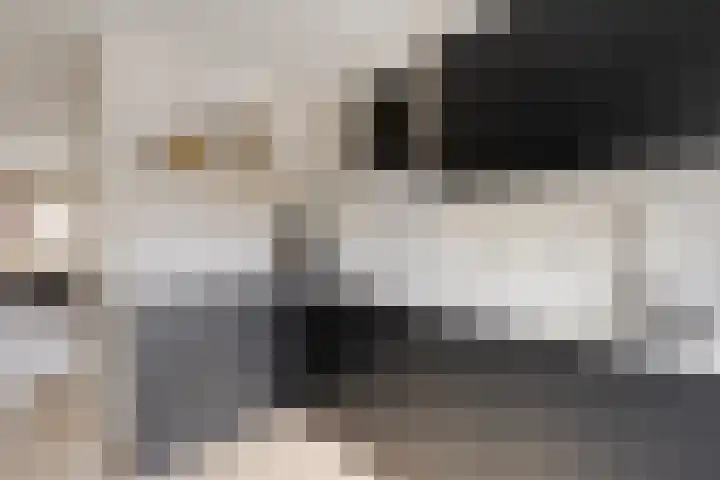 Reigerskamp 609 Maarssen thumbnail 17