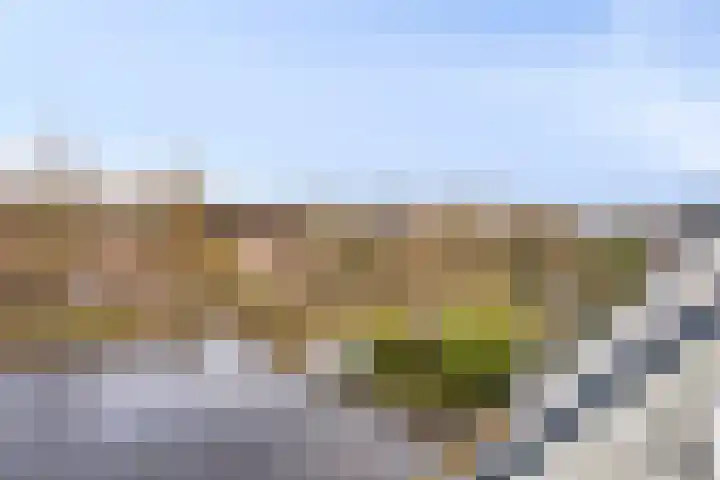 Reigerskamp 609 Maarssen thumbnail 22