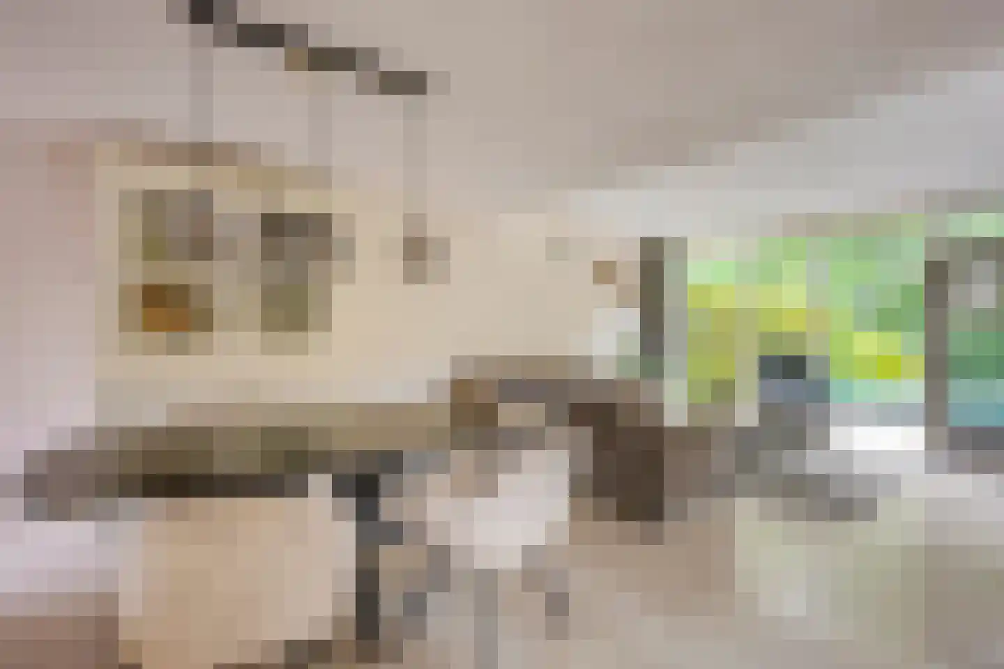 Reigerskamp 643 Maarssen thumbnail 14