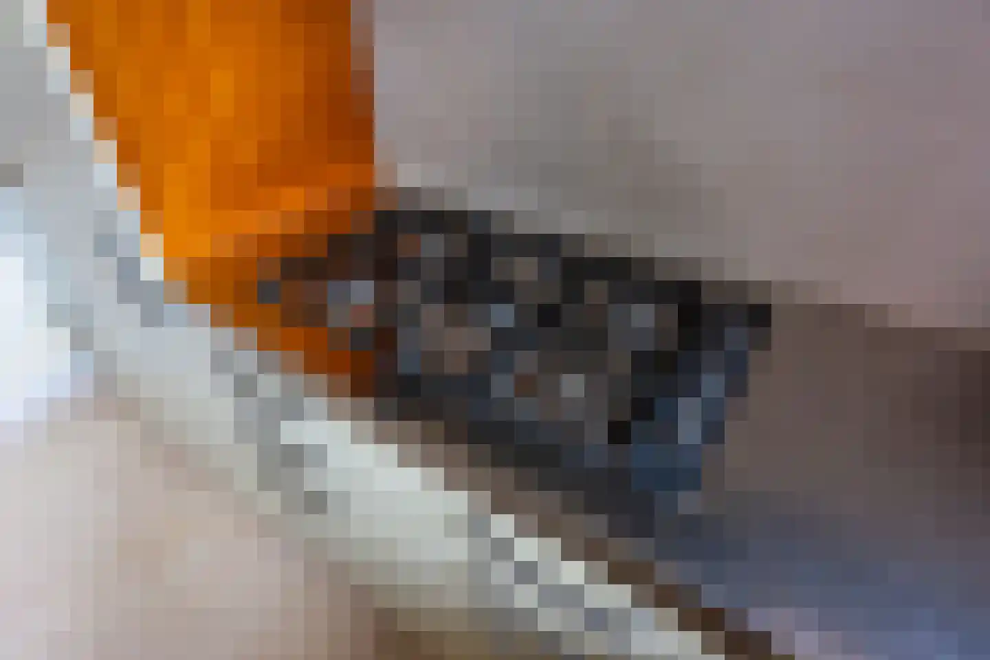 Reigerskamp 643 Maarssen thumbnail 25