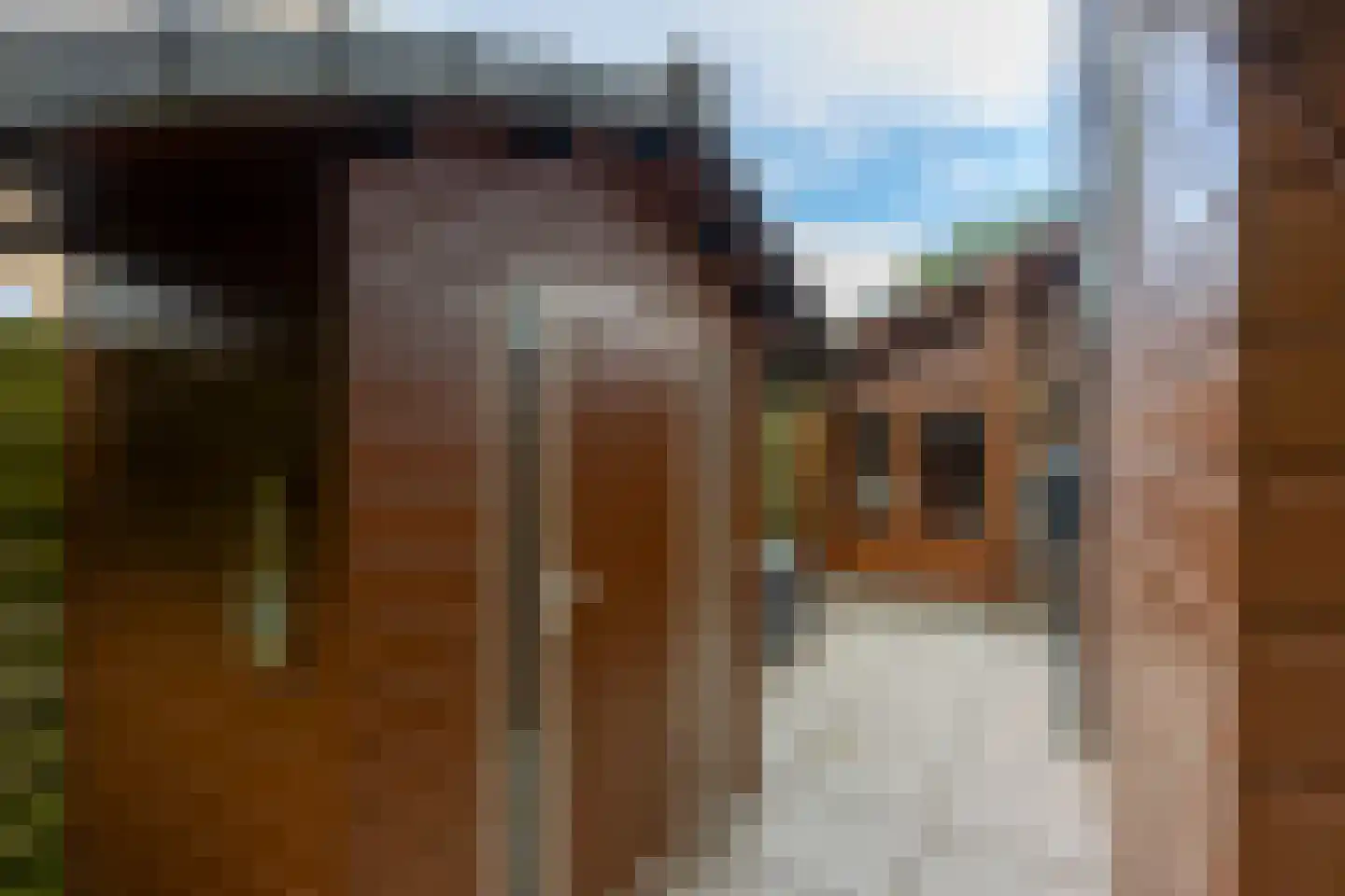 Reigerskamp 643 Maarssen thumbnail 33
