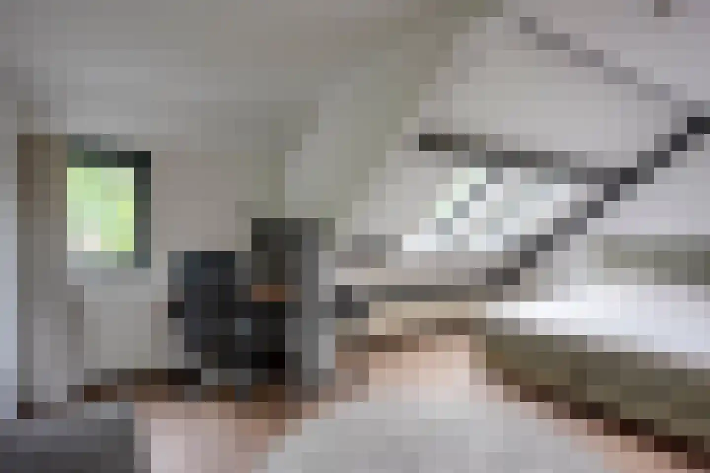 Reigerskamp 643 Maarssen thumbnail 42