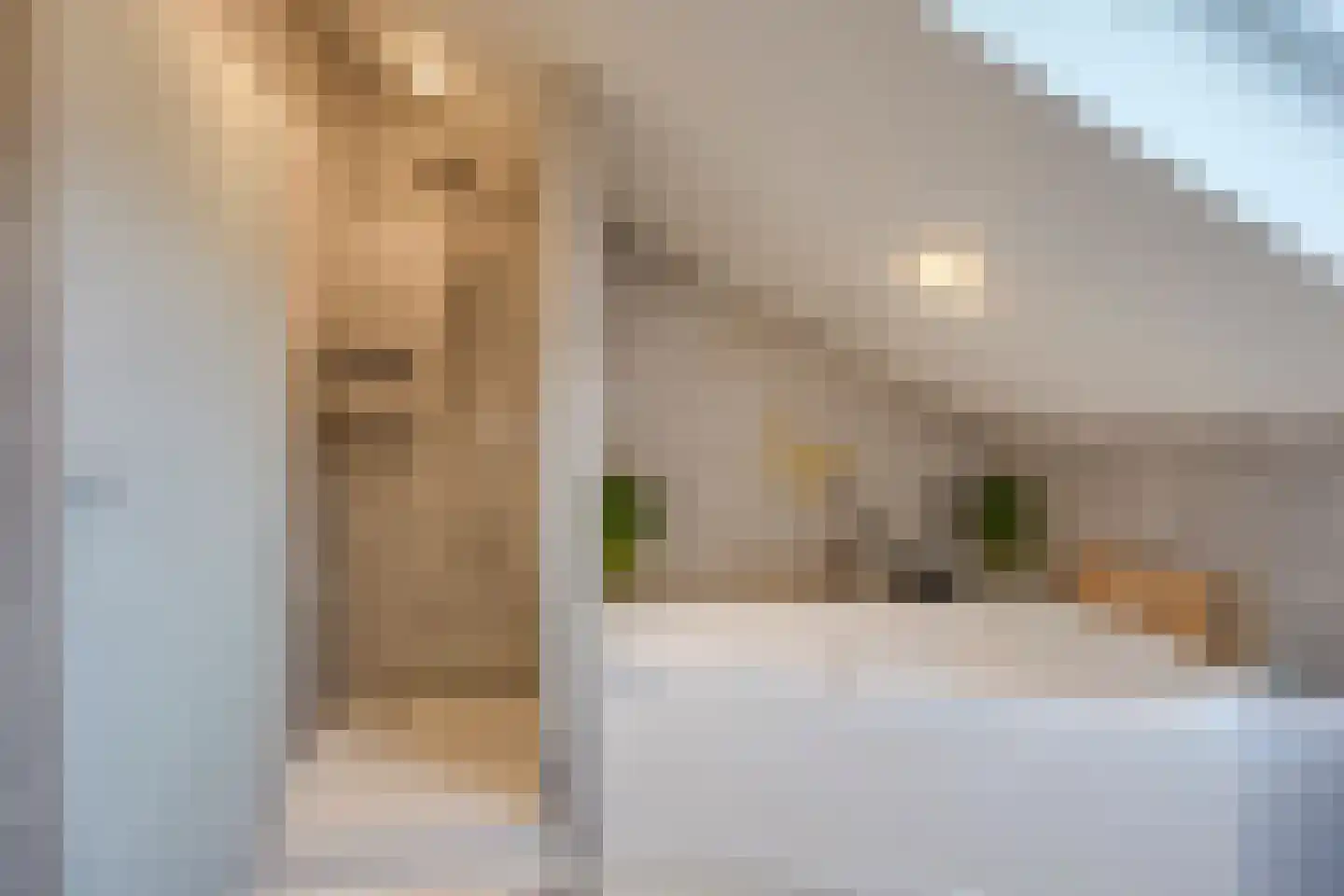 Reigerskamp 643 Maarssen thumbnail 50