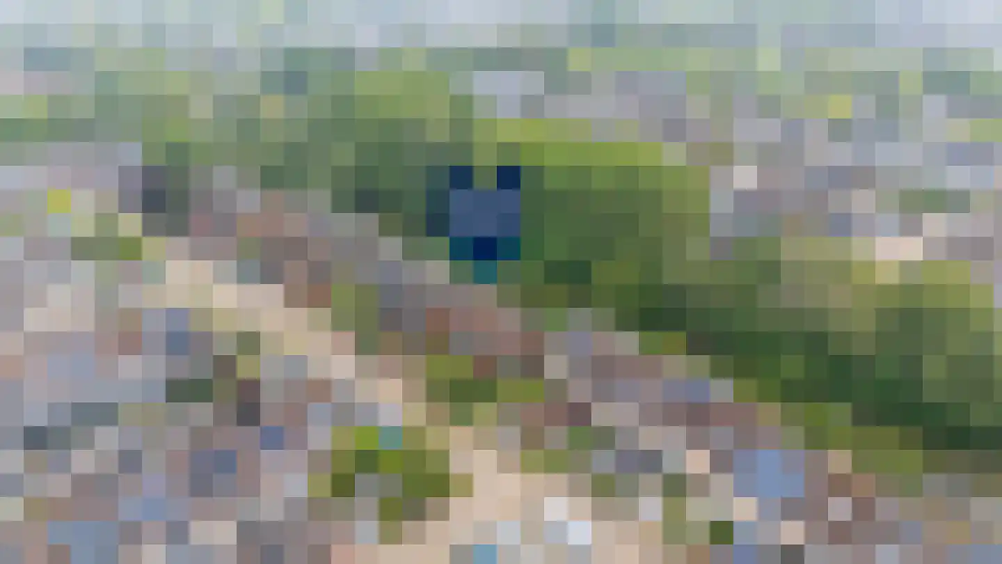 Reigerskamp 643 Maarssen thumbnail 6