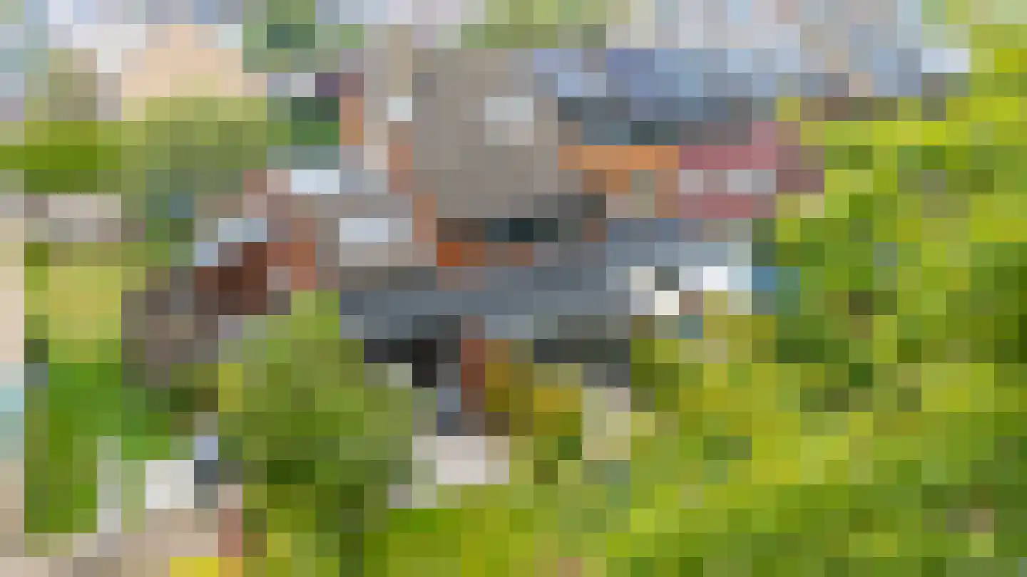 Reigerskamp 643 Maarssen thumbnail 7
