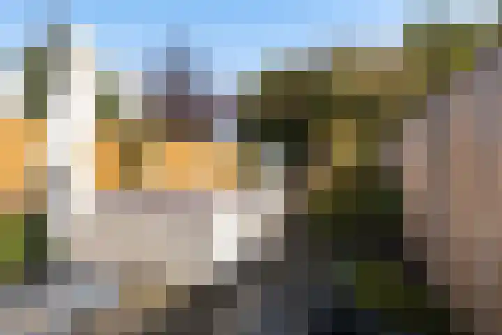 Reigerskamp 682 Maarssen thumbnail 22