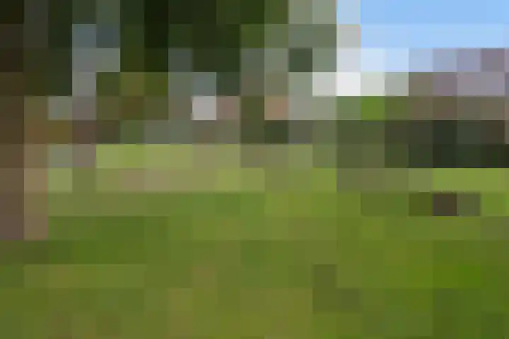 Reigerskamp 682 Maarssen thumbnail 24