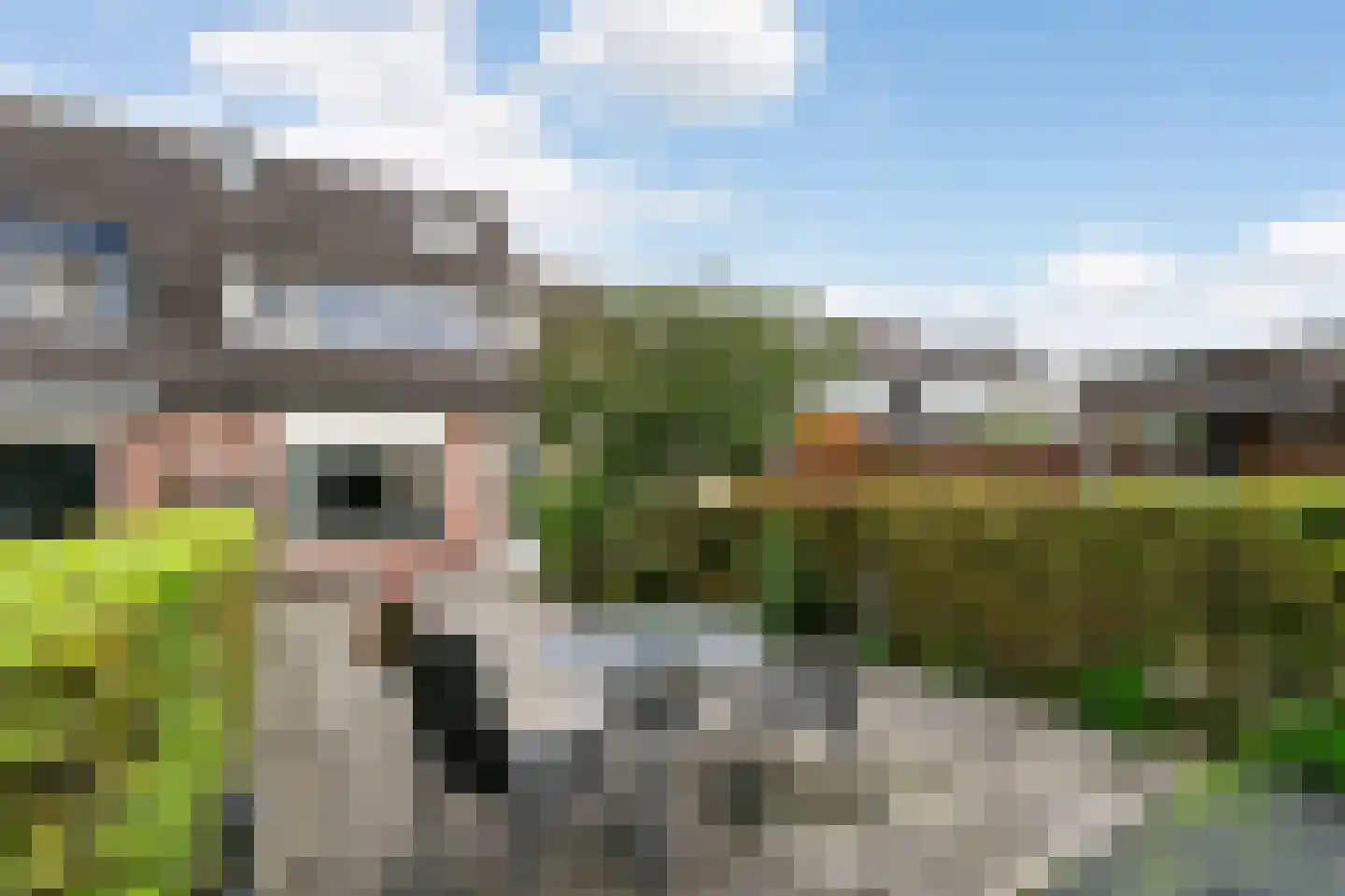 Reigerskamp 687 Maarssen thumbnail 31