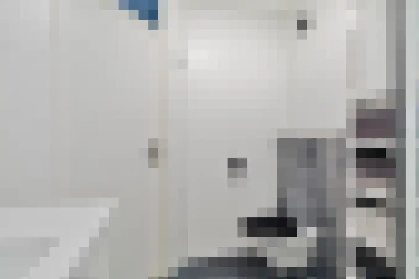 Reigerskamp 69 a Maarssen thumbnail 23