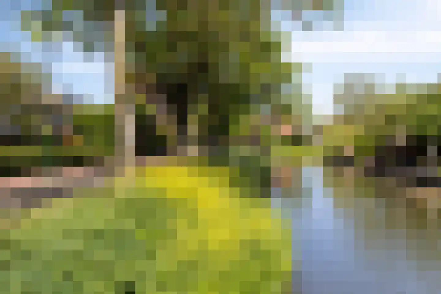 Reigerskamp 69 a Maarssen thumbnail 46