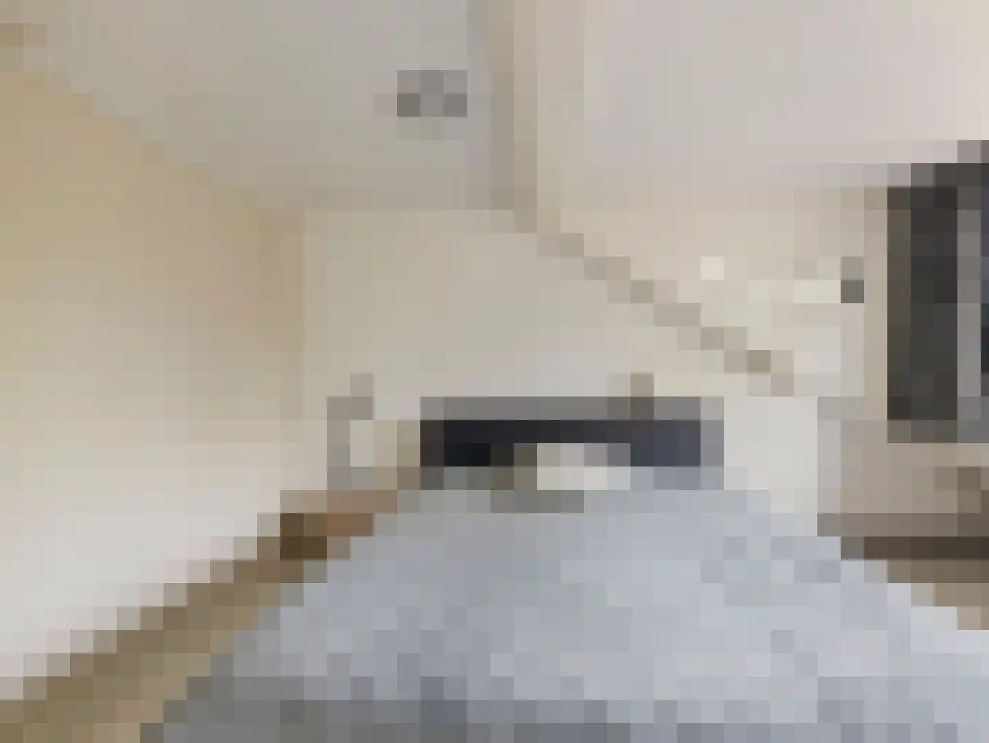 Reigerskamp 70 a Maarssen thumbnail 36