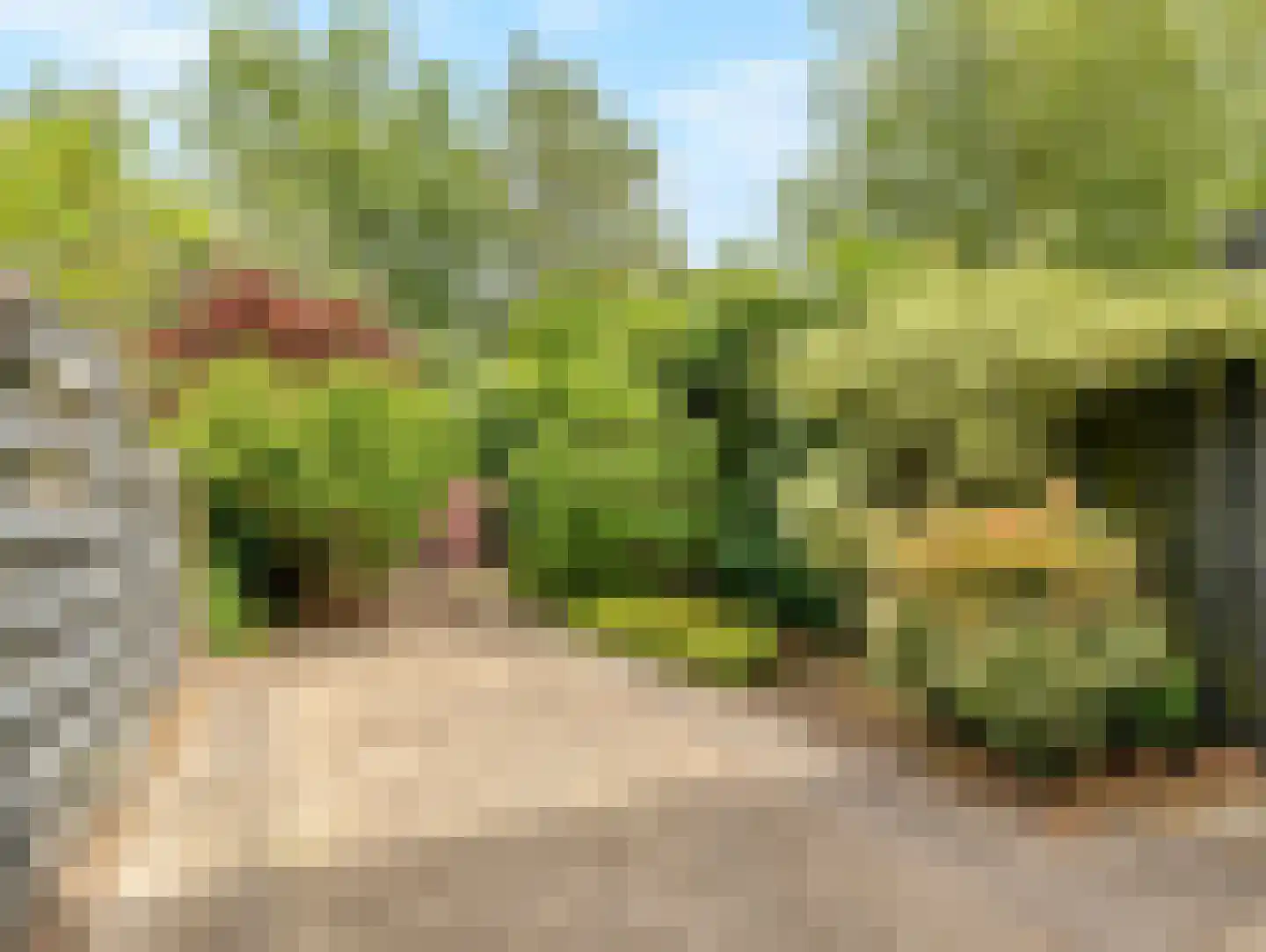 Reigerskamp 70 a Maarssen thumbnail 42