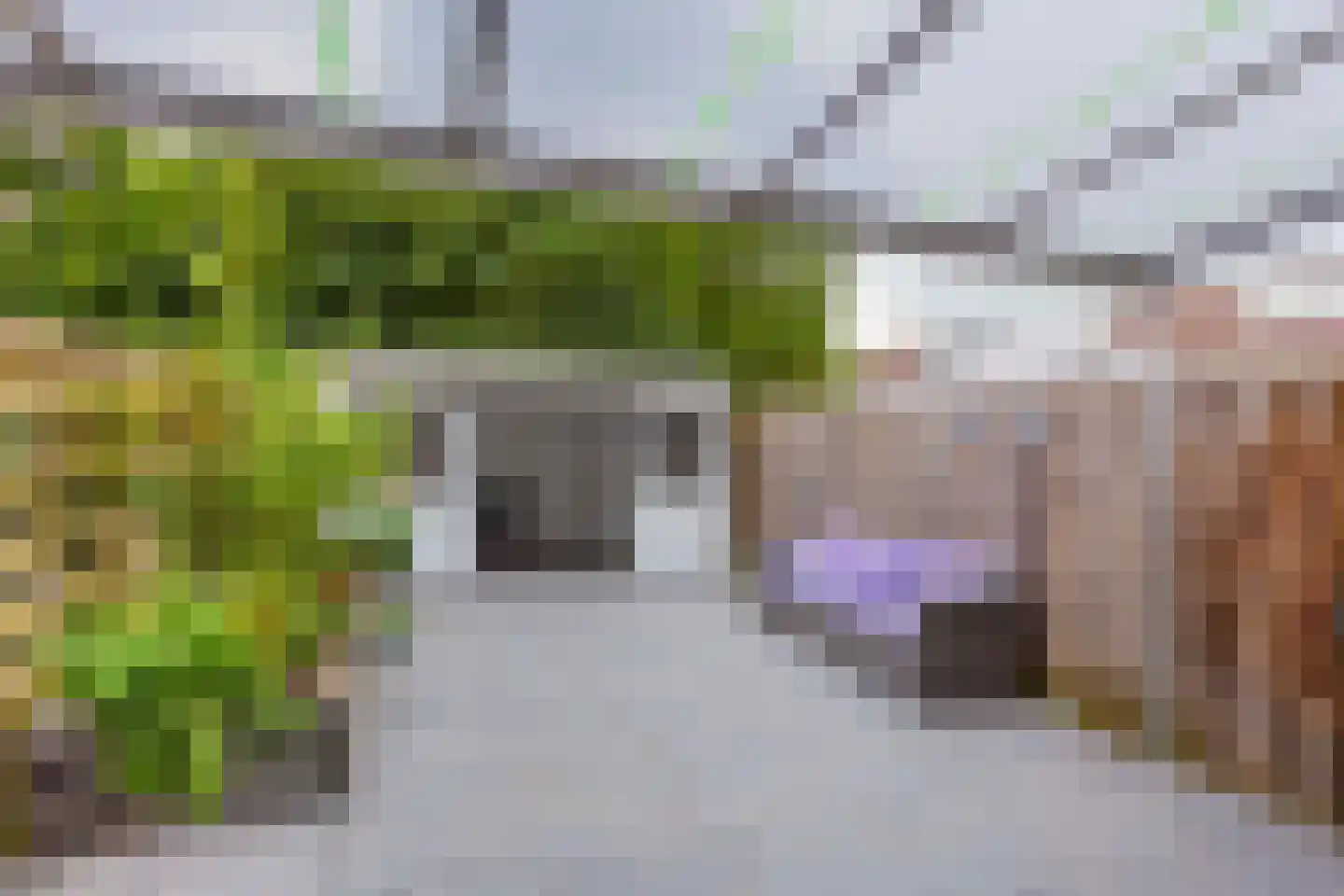Reigerskamp 80 Maarssen thumbnail 16