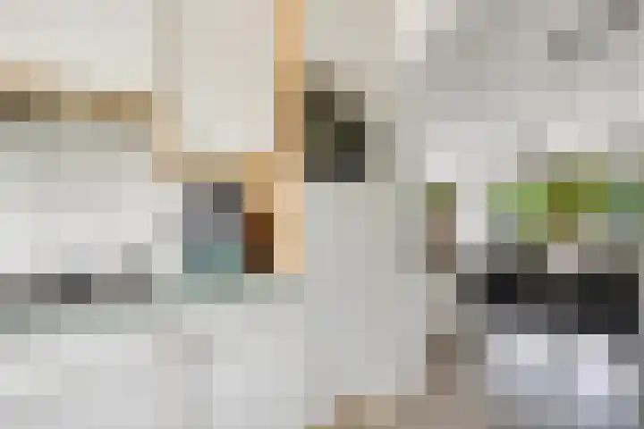 Reigerskamp 86 Maarssen thumbnail 10