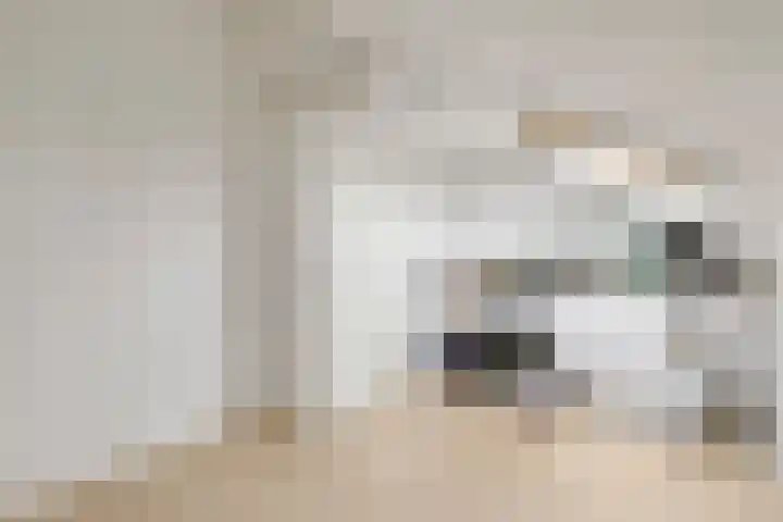Reigerskamp 86 Maarssen thumbnail 27