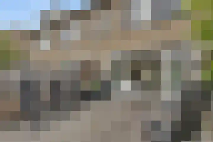 Reigerskamp 86 Maarssen thumbnail 31