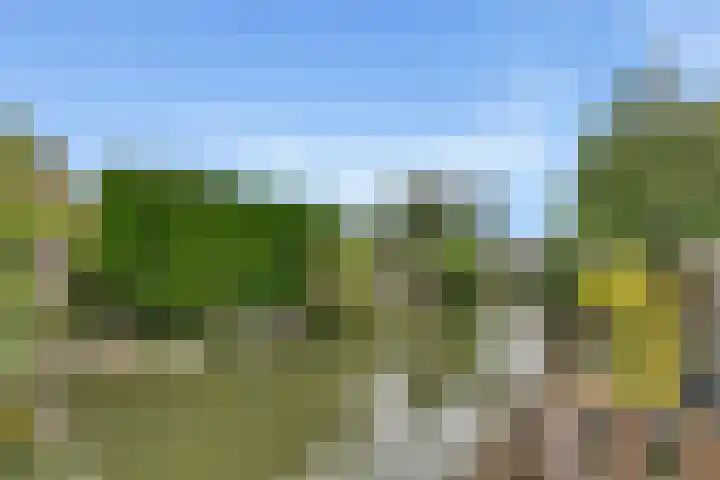 Reigerskamp 86 Maarssen thumbnail 33