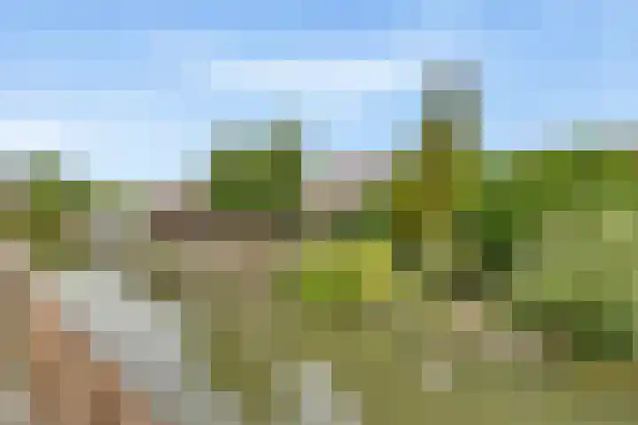 Reigerskamp 86 Maarssen thumbnail 34
