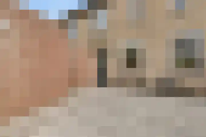 Reigerskamp 86 Maarssen thumbnail 35