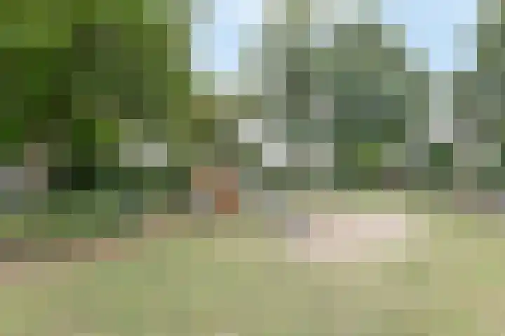Reigerskamp 86 Maarssen thumbnail 37