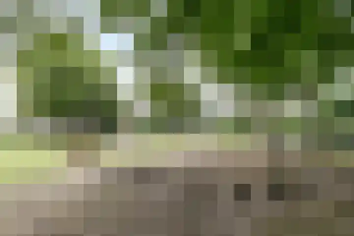 Reigerskamp 86 Maarssen thumbnail 38