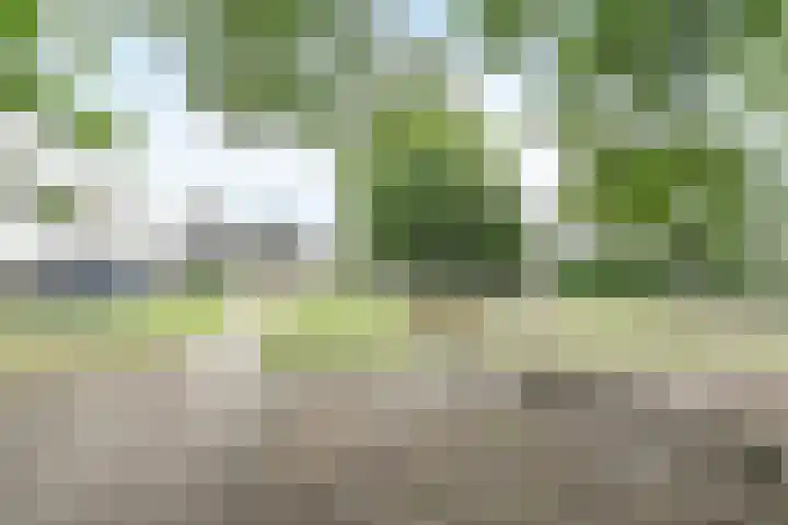 Reigerskamp 86 Maarssen thumbnail 39