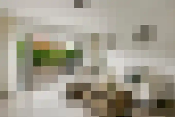 Reigerskamp 86 Maarssen thumbnail 4