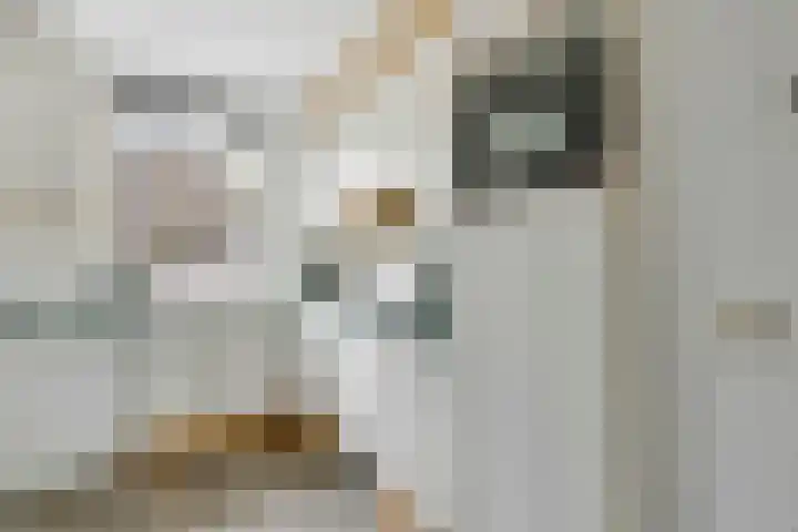 Reigerskamp 86 Maarssen thumbnail 8