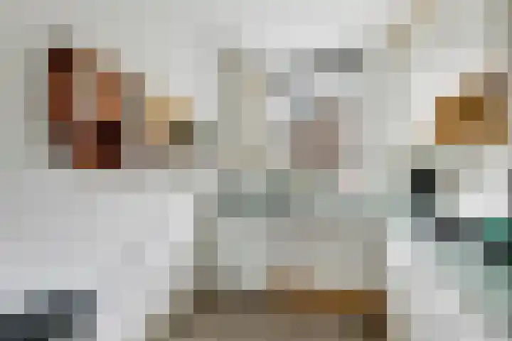 Reigerskamp 86 Maarssen thumbnail 9
