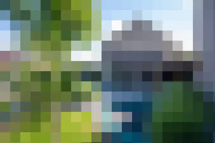 Reigerskamp 90 Maarssen thumbnail 37