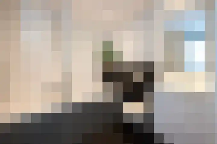 Reigerskamp 90 Maarssen thumbnail 4