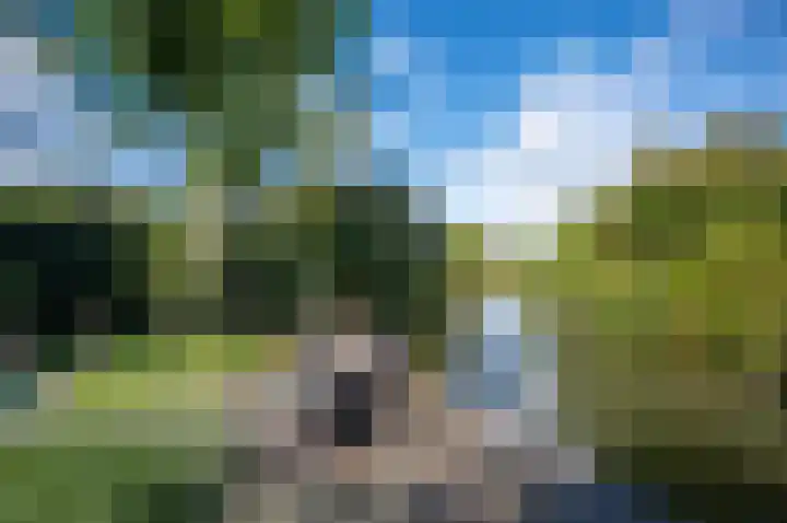 Reigerskamp 90 Maarssen thumbnail 43