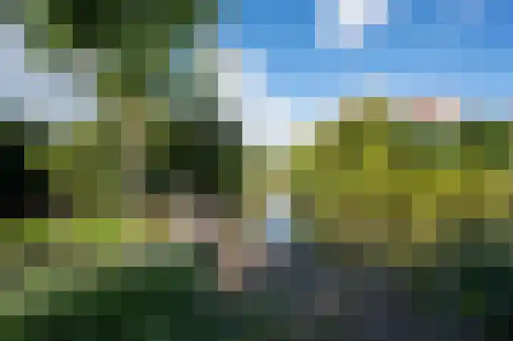Reigerskamp 90 Maarssen thumbnail 45