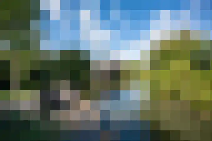 Reigerskamp 90 Maarssen thumbnail 46