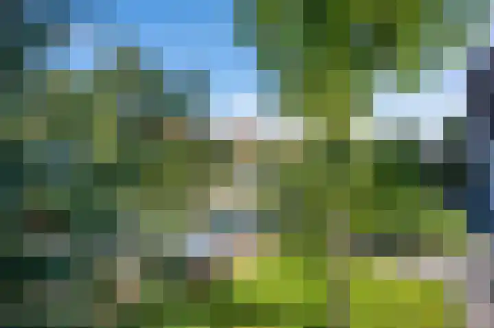 Reigerskamp 90 Maarssen thumbnail 47