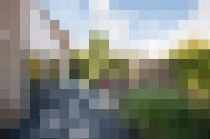 Reigerskamp 90 Maarssen thumbnail 51