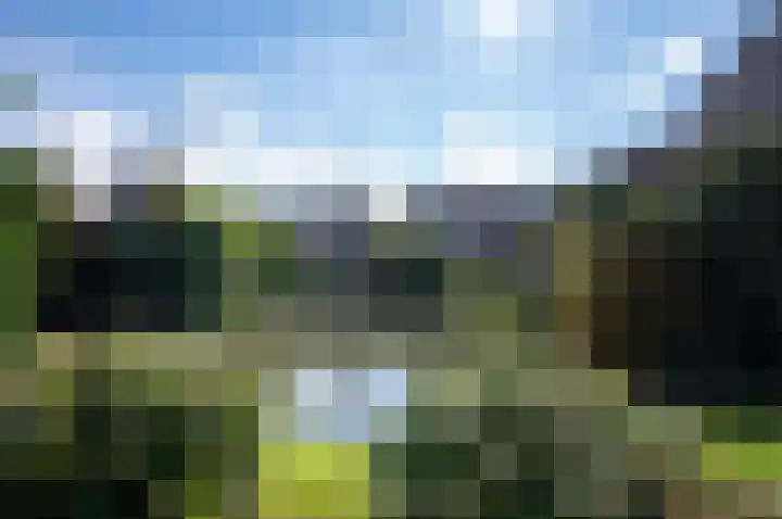 Reigerskamp 90 Maarssen thumbnail 53