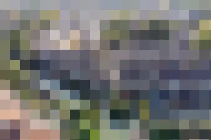 Reigerskamp 90 Maarssen thumbnail 56