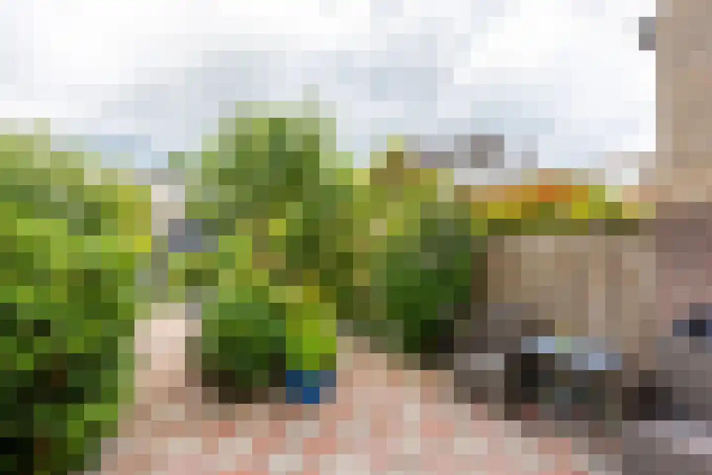 Reigerskamp 95 Maarssen thumbnail 17