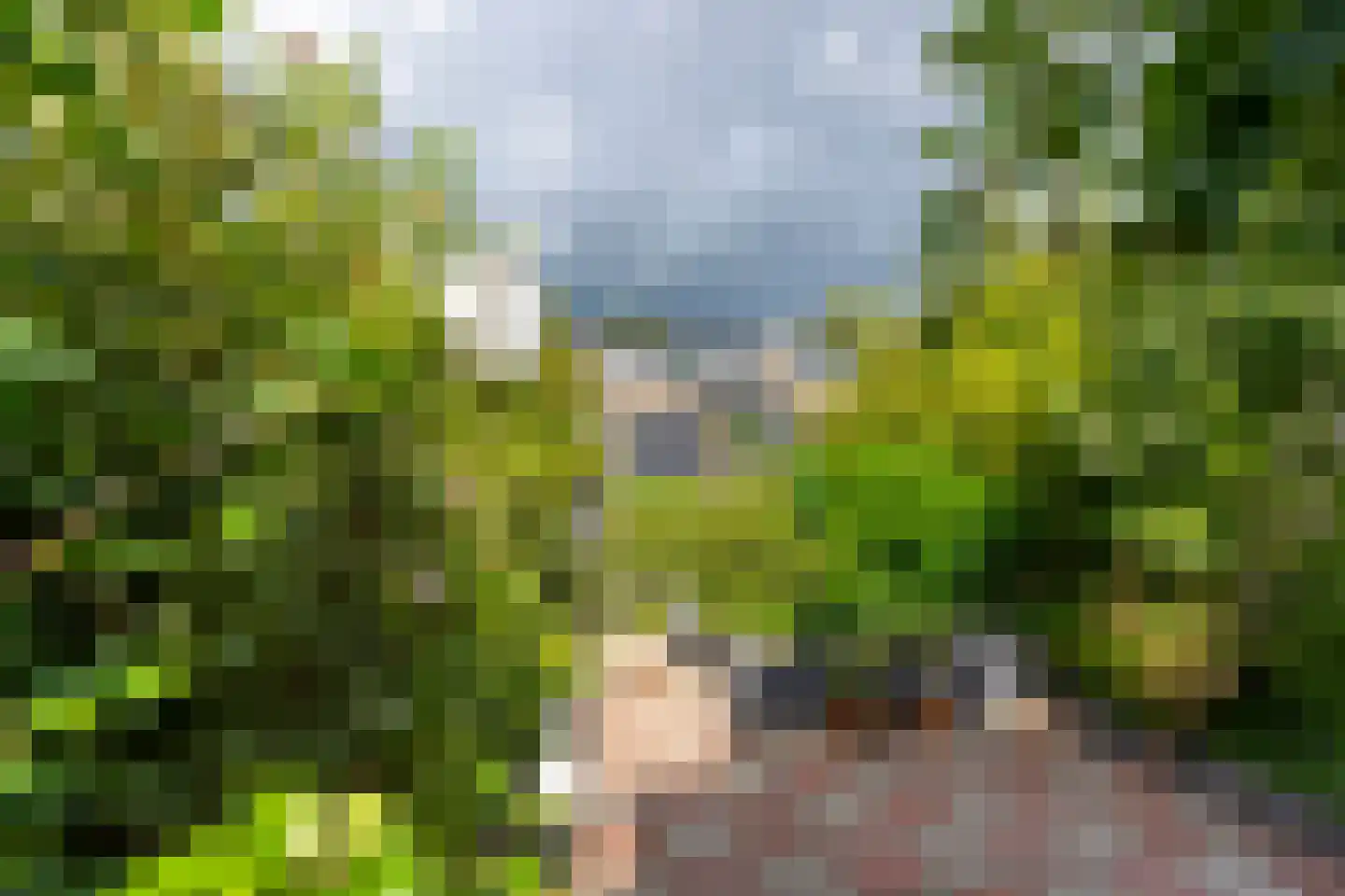 Reigerskamp 95 Maarssen thumbnail 18