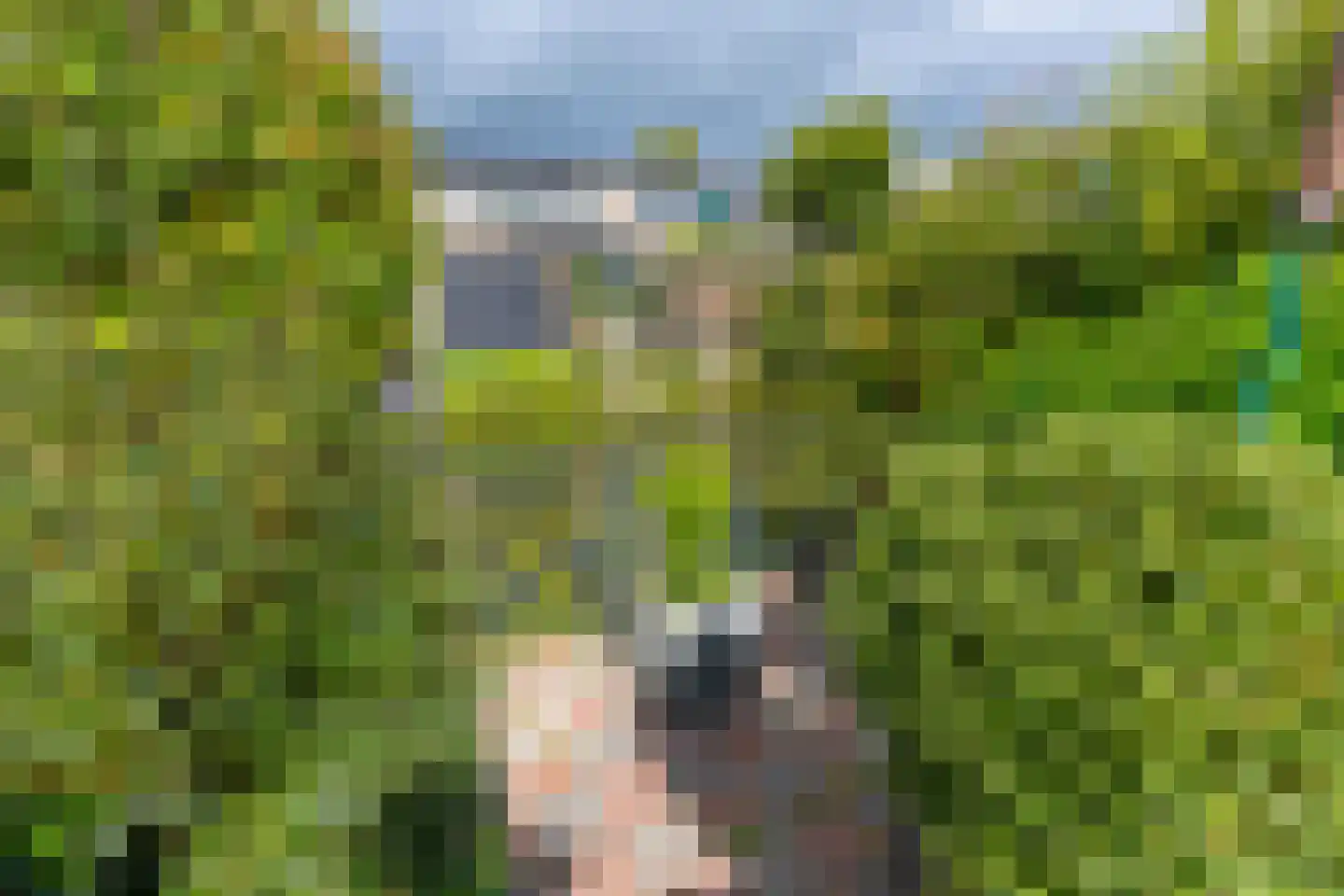 Reigerskamp 95 Maarssen thumbnail 19