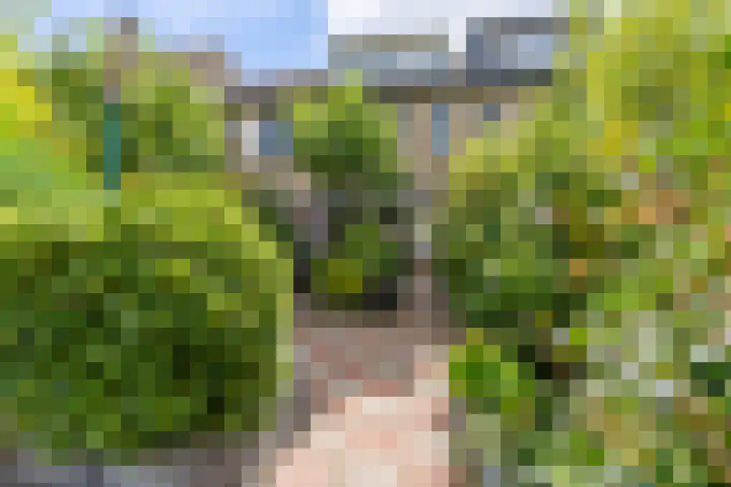 Reigerskamp 95 Maarssen thumbnail 23