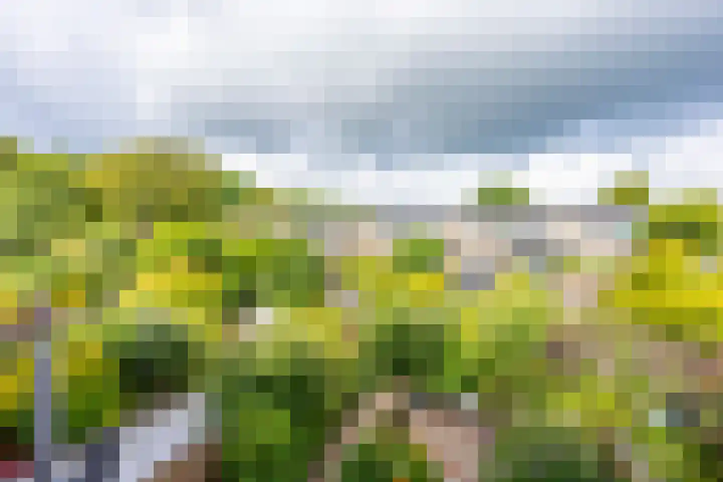 Reigerskamp 95 Maarssen thumbnail 32