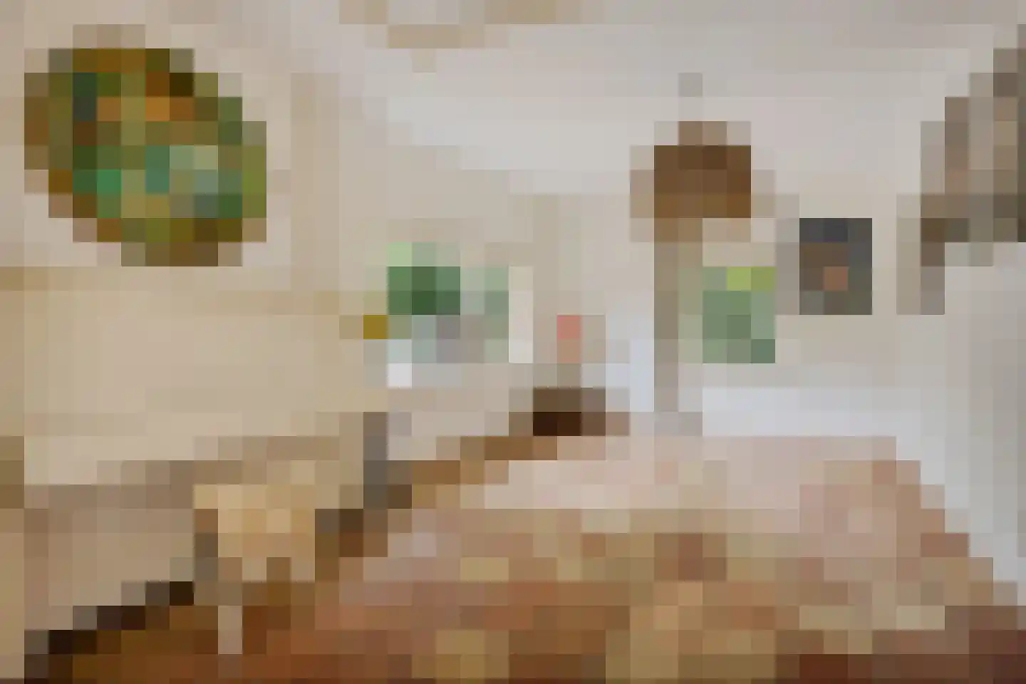 Reigerslaan 19 Bergen (NH) thumbnail 11