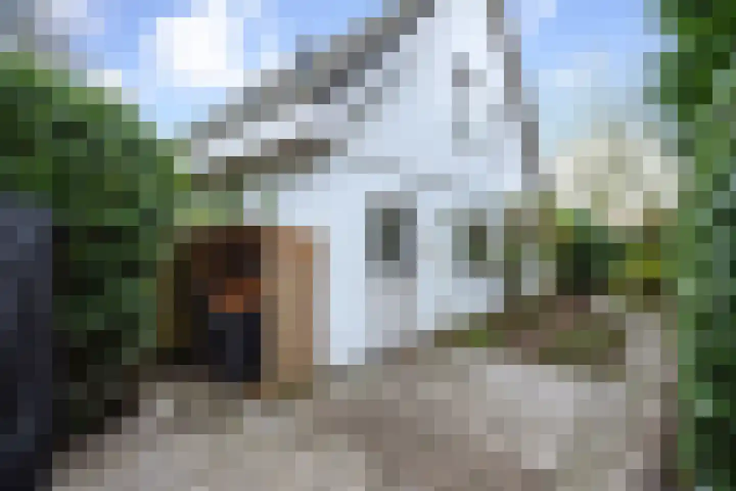 Reigerslaan 19 Bergen (NH) thumbnail 34